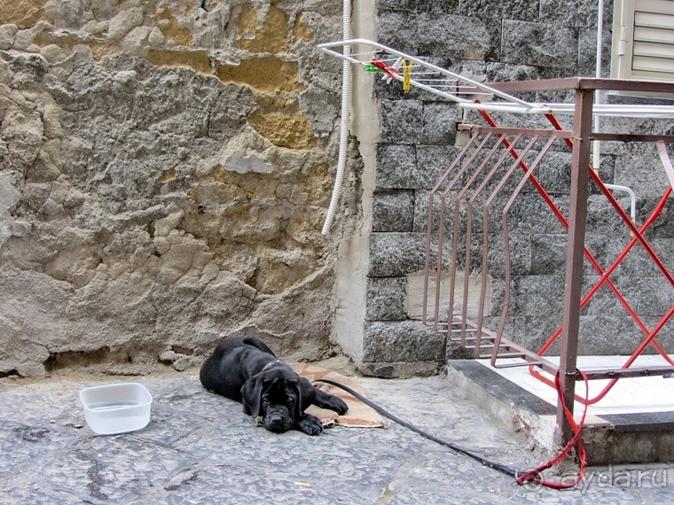 Дороги, которые нас выбирают: Неаполь, четыре "П" и Амальфитанское побережье. Часть 3