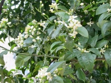 Дороги, которые нас выбирают: Неаполь, четыре "П" и Амальфитанское побережье. Часть 3