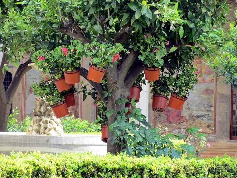 Дороги, которые нас выбирают: Неаполь, четыре "П" и Амальфитанское побережье. Часть 3