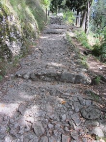 Пицца "североитальянская": Венеция и Венето, Тренто, Падуя и северная Гарда. Часть 3