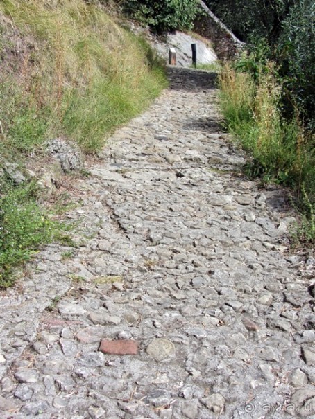 Пицца "североитальянская": Венеция и Венето, Тренто, Падуя и северная Гарда. Часть 3 Пицца "североитальянская": Венеция и Венето, Тренто, Падуя и северная Гарда. Часть 3