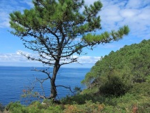 Риоха, Наварра и баски: от Мадрида до Сан-Себастьяна. Часть 13