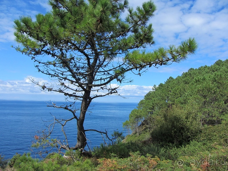 Риоха, Наварра и баски: от Мадрида до Сан-Себастьяна. Часть 13