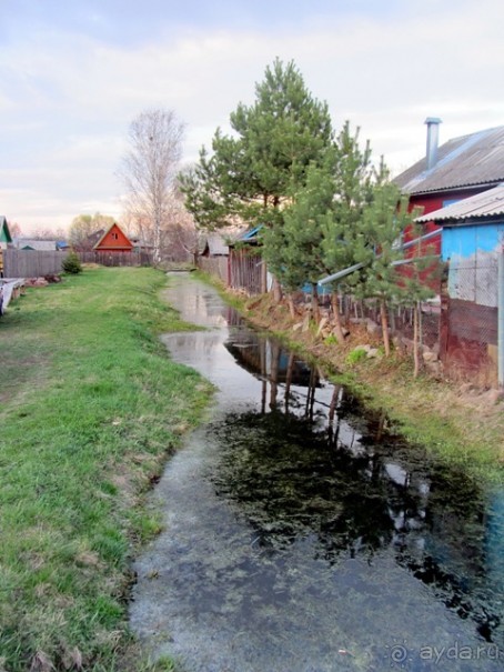 Прогулки за лесами - Переславль-Залесский