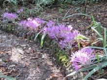 Новая попытка полюбить Италию – Умбрия. Часть 2