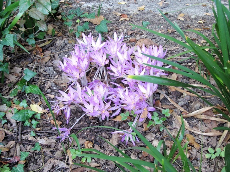 Новая попытка полюбить Италию – Умбрия. Часть 2