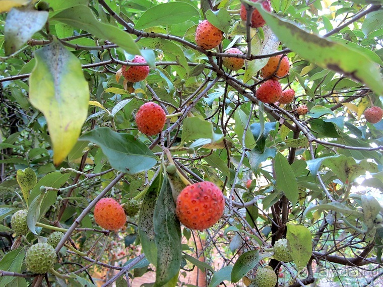 Новая попытка полюбить Италию – Умбрия. Часть 2