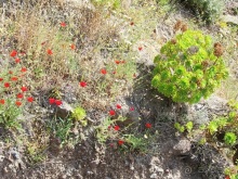 Санторинский кальдероскоп. Белое на голубом. Голубое на белом. Часть 2