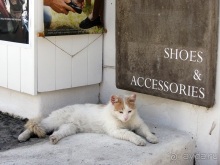 Санторинский кальдероскоп. Белое на голубом. Голубое на белом. Часть 2