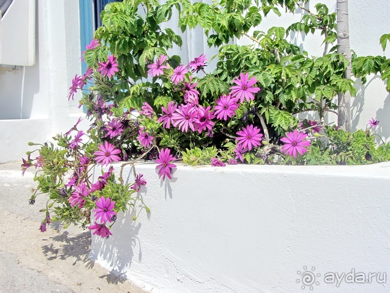 Санторинский кальдероскоп. Белое на голубом. Голубое на белом. Часть 2