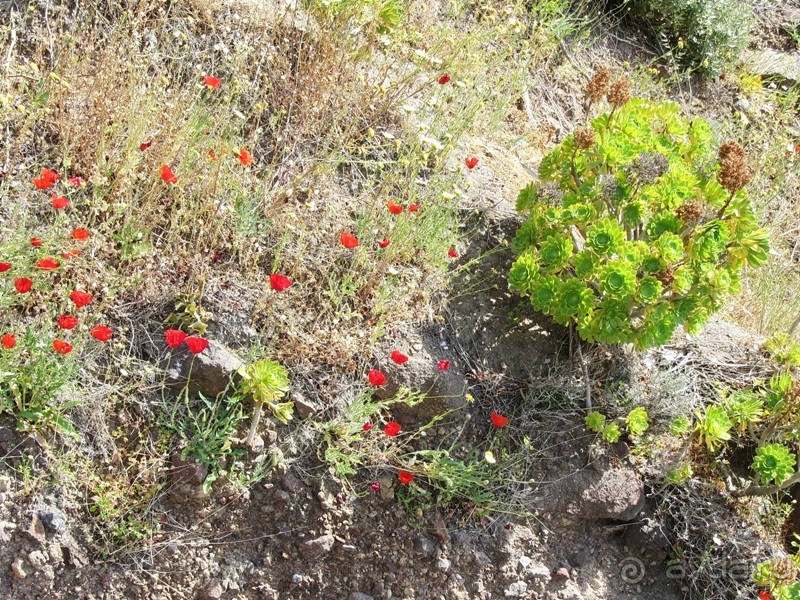 Санторинский кальдероскоп. Белое на голубом. Голубое на белом. Часть 2