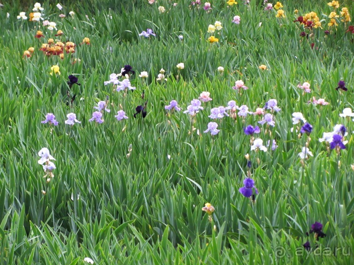 Кольцо мечты: Каталония, Пиренеи и Коста-Брава - по обе стороны границы. Часть 3