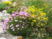 Кольцо мечты: Каталония, Пиренеи и Коста-Брава - по обе стороны границы. Часть 3