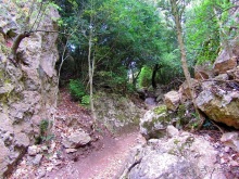 Кольцо мечты: Каталония, Пиренеи и Коста-Брава - по обе стороны границы. Часть 3