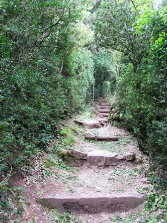 Кольцо мечты: Каталония, Пиренеи и Коста-Брава - по обе стороны границы. Часть 3