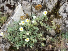 Кольцо мечты: Каталония, Пиренеи и Коста-Брава - по обе стороны границы. Часть 3