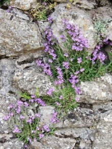 Кольцо мечты: Каталония, Пиренеи и Коста-Брава - по обе стороны границы. Часть 3