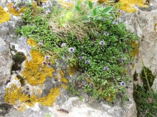 Кольцо мечты: Каталония, Пиренеи и Коста-Брава - по обе стороны границы. Часть 3