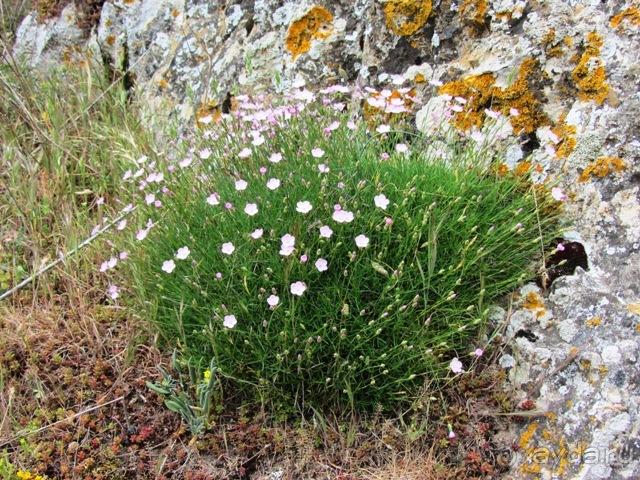 Кольцо мечты: Каталония, Пиренеи и Коста-Брава - по обе стороны границы. Часть 3