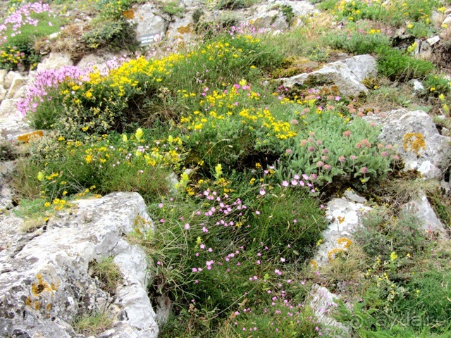 Кольцо мечты: Каталония, Пиренеи и Коста-Брава - по обе стороны границы. Часть 3