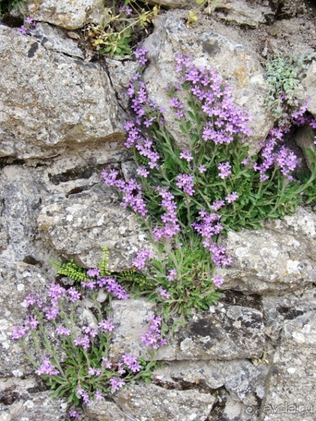 Кольцо мечты: Каталония, Пиренеи и Коста-Брава - по обе стороны границы. Часть 3