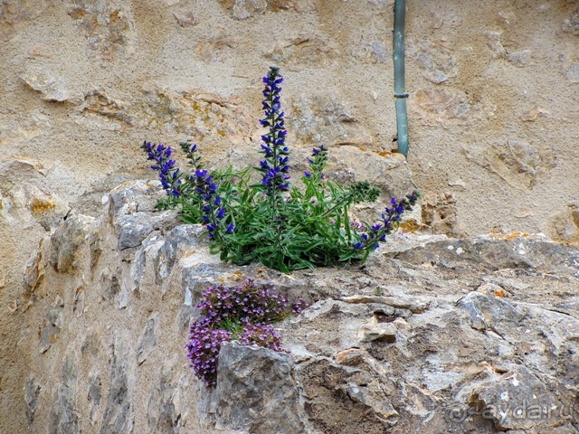 Кольцо мечты: Каталония, Пиренеи и Коста-Брава - по обе стороны границы. Часть 3