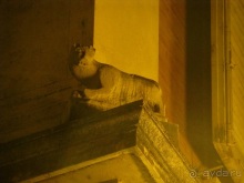 Италия в камне: Рим - Витербо - Гроссето - Питильяно - Сорано ... и опять Рим. Часть 7