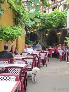 Французские бродилки - великолепный Мец, яркий Эльзас и серая Бургундия. Часть 12