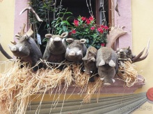 Французские бродилки - великолепный Мец, яркий Эльзас и серая Бургундия. Часть 12