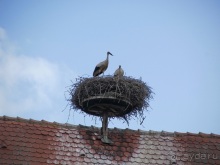 Французские бродилки - великолепный Мец, яркий Эльзас и серая Бургундия. Часть 12