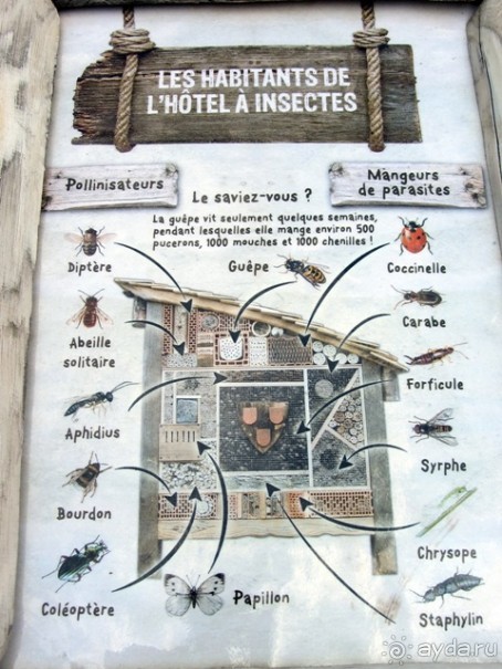 Французские бродилки - великолепный Мец, яркий Эльзас и серая Бургундия. Часть 12