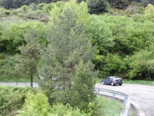 Кольцо мечты: Каталония, Пиренеи и Коста-Брава - по обе стороны границы. Часть 2