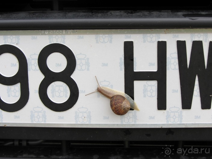 Кольцо мечты: Каталония, Пиренеи и Коста-Брава - по обе стороны границы. Часть 2