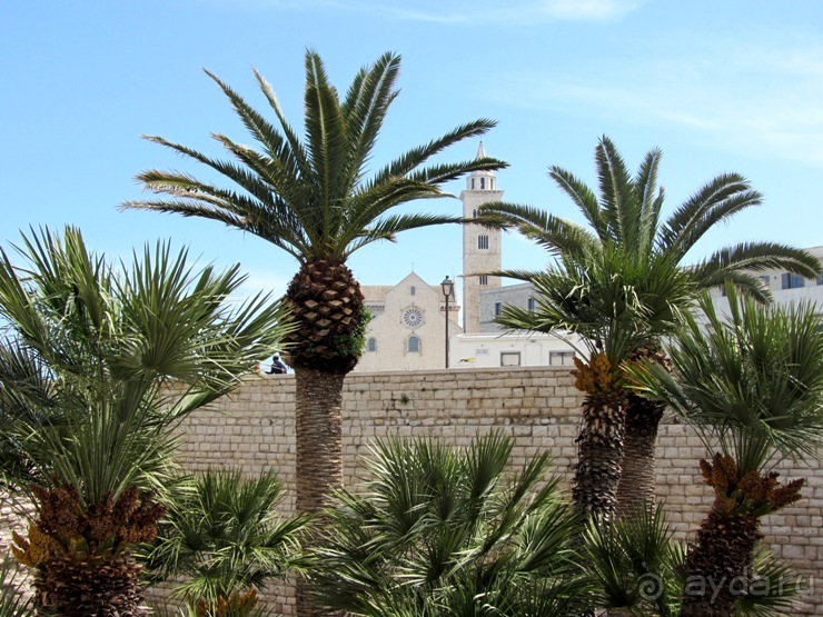 Альбом отзыва "Апулия и Матера – впечатления без погружения. Трани и Барлетта"