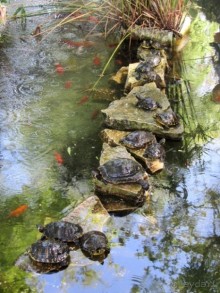 Апулия и Матера – впечатления без погружения. Трани и Барлетта
