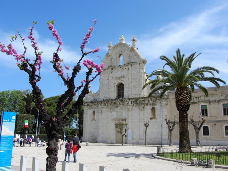 Апулия и Матера – впечатления без погружения. Трани и Барлетта