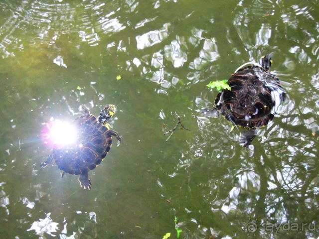 Апулия и Матера – впечатления без погружения. Трани и Барлетта