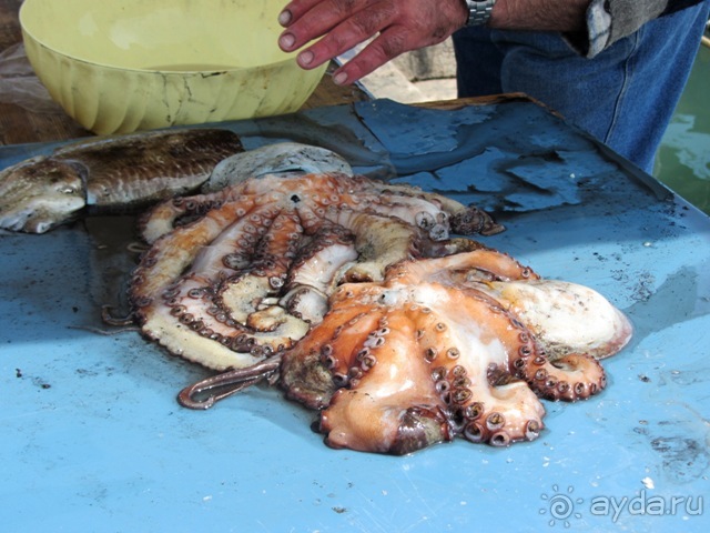 Апулия и Матера – впечатления без погружения. Трани и Барлетта