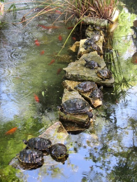 Апулия и Матера – впечатления без погружения. Трани и Барлетта
