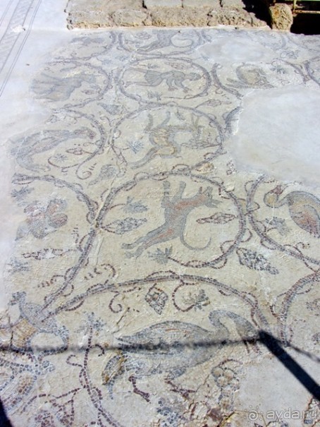 Второе пришествие в Израиль: Тель-Авив - Хайфа - Акко - Цфат - Галилея. Часть 3