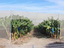 Второе пришествие в Израиль: Тель-Авив - Хайфа - Акко - Цфат - Галилея. Часть 3