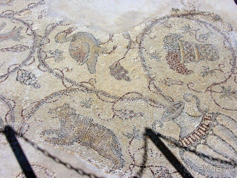 Второе пришествие в Израиль: Тель-Авив - Хайфа - Акко - Цфат - Галилея. Часть 3