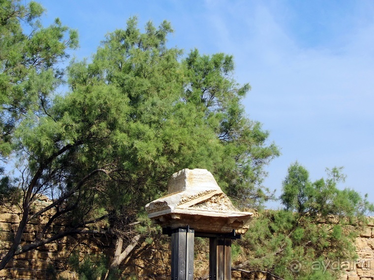 Второе пришествие в Израиль: Тель-Авив - Хайфа - Акко - Цфат - Галилея. Часть 3