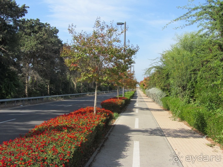 Второе пришествие в Израиль: Тель-Авив - Хайфа - Акко - Цфат - Галилея. Часть 3