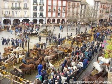 Риоха, Наварра и баски: от Мадрида до Сан-Себастьяна. Часть 5