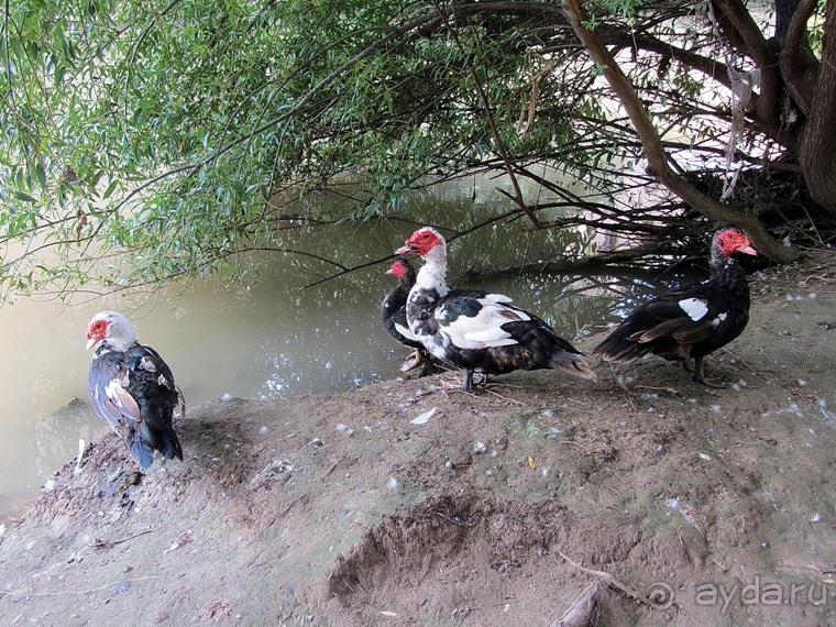 Риоха, Наварра и баски: от Мадрида до Сан-Себастьяна. Часть 5