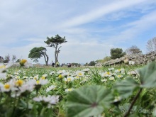 Дороги, которые нас выбирают: Неаполь, четыре "П" и Амальфитанское побережье. Часть 6