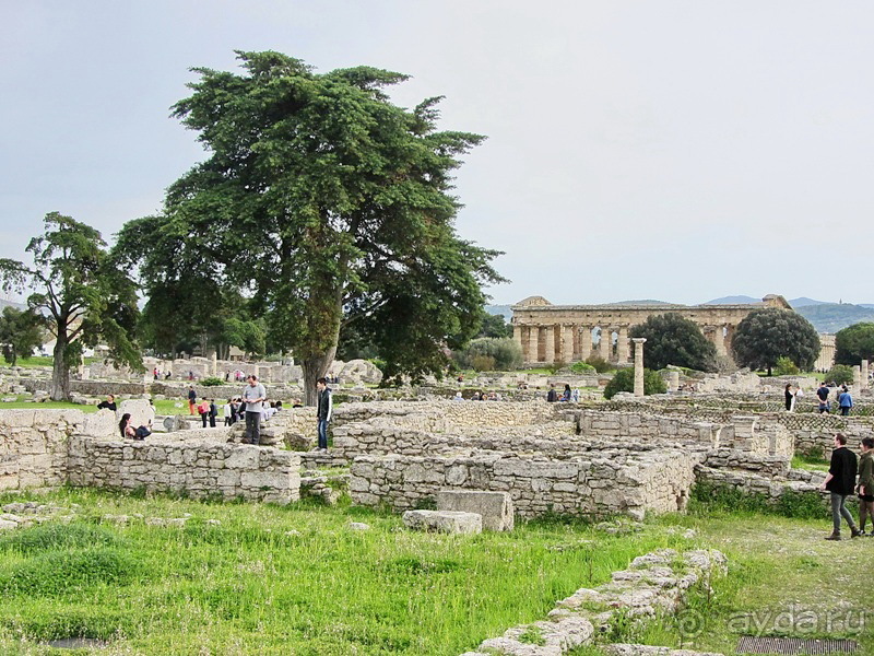 Дороги, которые нас выбирают: Неаполь, четыре "П" и Амальфитанское побережье. Часть 6
