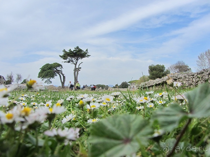 Дороги, которые нас выбирают: Неаполь, четыре "П" и Амальфитанское побережье. Часть 6