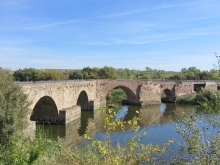 Как мы спасали ёжика и другие прогулки по Кастилии и вокруг Мадрида. Часть 5